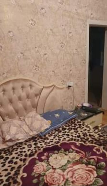 Həyət evləri və villaların satışı: Binəqədi qəs. 3 otaqlı, 100 kv. m, Yeni təmirli — 6