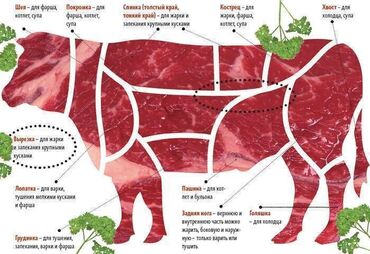 бычкы: Продаётся мясо, оптом, всегда свежий завоз, со всеми документами, мясо