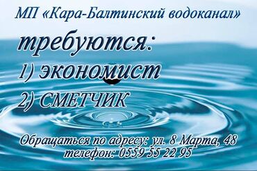 набор водителей: В МП «Кара-Балтинский водоканал» требуются: экономист, сметчик