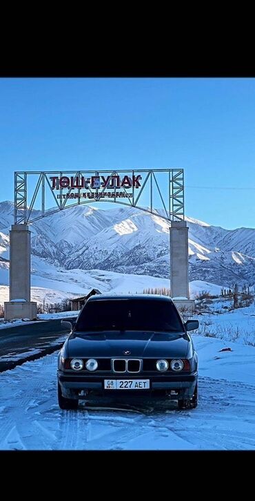 BMW: BMW 520: 1990 г., 2 л, Механика, Бензин, Седан — 1