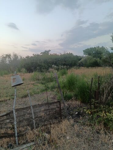 Продажа участков: 10 соток, Красная книга — 2