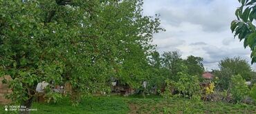 Həyət evləri və villaların satışı: 15 otaq, 300 kv. m, Kredit yoxdur, Orta təmir -da lalafo.az — 16 Həyət evləri və villaların satışı: 15 otaq, 300 kv. m, Kredit yoxdur, Orta təmir — 16