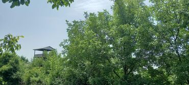 Torpaq sahələrinin satışı: Kənd təsərrüfatı — 3