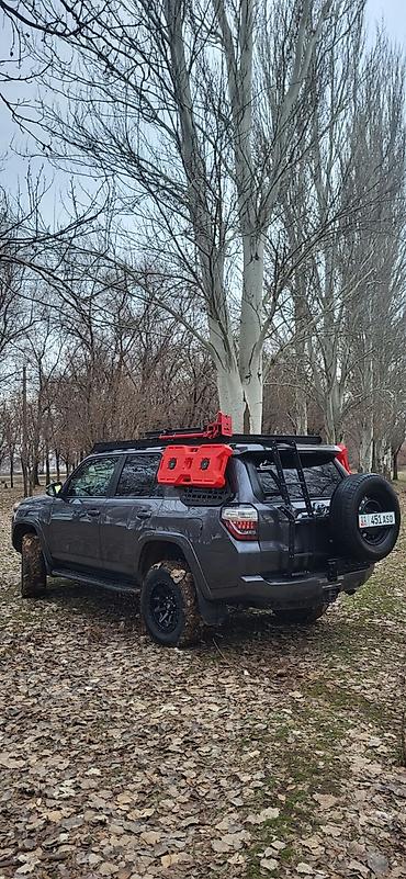 кузовные детали на рав4 2018: Toyota 4Runner: 2019 г., 4 л, Автомат, Бензин, Внедорожник — 6