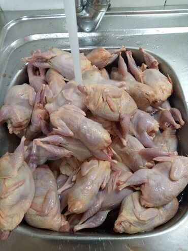 купить курицу в бишкеке: Перепелиное мясо на майские праздники вес от 220 грамм и выше. Мы в