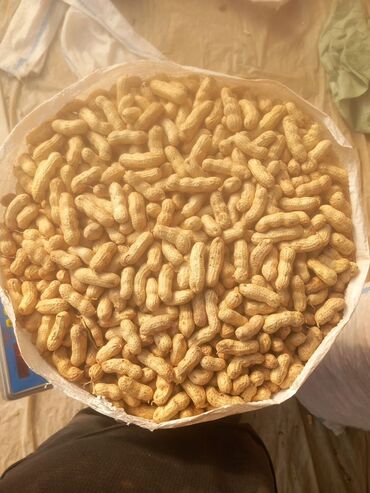 магнит бу: Арахис в скорлупе, фасованный в мешки. - Натуральный, неочищенный