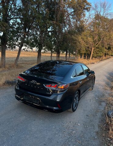 Hyundai: Hyundai Sonata: 2018 г., 2 л, Автомат, Гибрид, Седан — 4