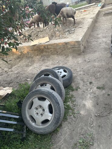 лобовое стекло опель вектра б: Колеса в сборе 205 / 55 / R 16, Лето, Б/у, Комплект, Легковые, Литые, отверстий - 5
