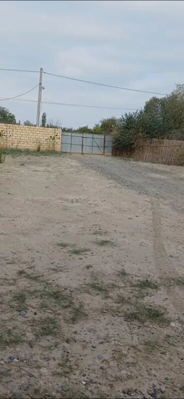 Torpaq sahələrinin satışı: 80 sot, Kənd təsərrüfatı, Mülkiyyətçi, Kupça (Çıxarış) — 1