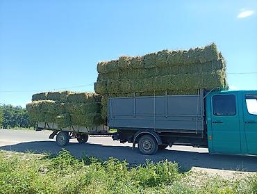 Прицепы и полуприцепы: Прицеп одноосный для легкого коммерческого автомобиля - Конструкция — 8