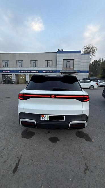 byd сигал: Zeekr : | 2026 г. Кроссовер — 6