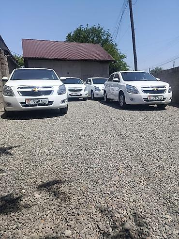 шевроле коболт: Аренда автомобилей Chevrolet Cobalt (белые седаны) для повседневных — 2