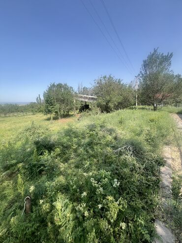 Другая коммерческая недвижимость: Продается зона отдыха находится в Панфиловском районе, урочище — 21