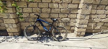 velosiped motor: Toba markalı dağ velosipedi - Rəng: mavi-qara - Çərçivə: Tocab — 3