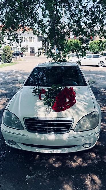 mersedes e class: Mercedes-Benz S-Class: 2000 г., 5 л, Автомат, Бензин, Седан — 3