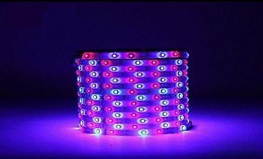 disko projektor: Set Led traka RGB 3528 5m kontroler daljinskim napajanje. Komplet Led — 4