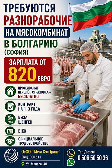 Унаа боёгучтар: Талап кылынат Унаа механиги Айлык, Расмий жумушка орноштуруу — 8