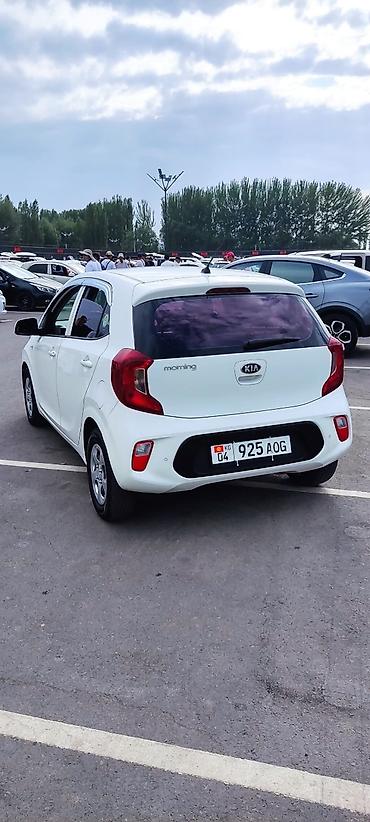 аренда kia optima: Kia Morning: 2019 г., 1 л, Автомат, Бензин, Хэтчбэк — 4