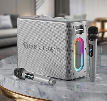 домашний караоке: Портативная колонка караоке система Music Legend V60 с двумя — 8