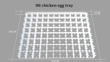 İnkubatorlar: Məhsul: 88-lik toyuq yumurtası üçün plastik inkubator/tray 63-lik -da lalafo.az — 5 İnkubatorlar: Məhsul: 88-lik toyuq yumurtası üçün plastik inkubator/tray 63-lik — 5