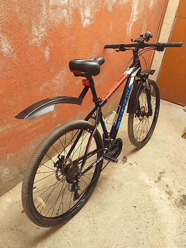bicycle 29: İşlənmiş Şəhər velosipedi Velocruz, 29", sürətlərin sayı: 12 — 3
