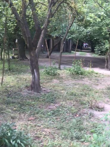 купить участок в вишневке баку: 16 sot, Tikinti, Mülkiyyətçi, Kupça (Çıxarış)