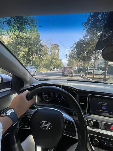 sonata: Hyundai Sonata: 2020 г., Автомат, Седан — 2