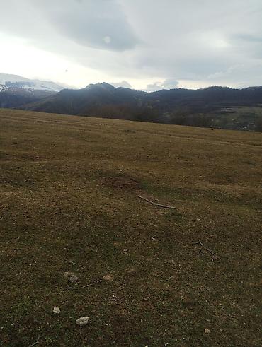 Torpaq sahələrinin satışı: 130 sot, Kənd təsərrüfatı, Kupça (Çıxarış) — 19