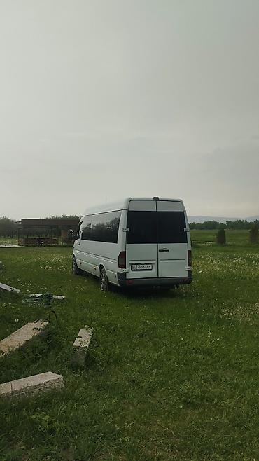 Аренда пассажирского буса: Микроавтобус Mercedes-Benz Sprinter (длинная база, высокий потолок) — 6