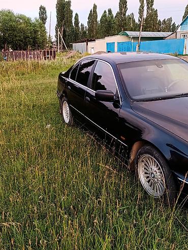 crown athlete 3 5: BMW 525: 2000 г., 2.5 л, Автомат, Бензин, Седан — 2