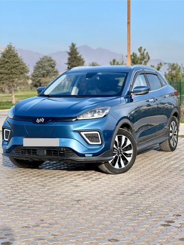 vvti матор: Weltmeister EX5, 2020 г., 56000 км, Алдыңкы, Бар