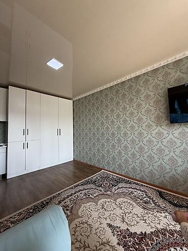 аренда квартр: Студия, 21 м², Таатан ТЦ 4 этаж, Евроремонт — 9