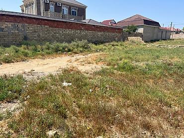bartee: 6 sot, Tikinti, Mülkiyyətçi, Kupça (Çıxarış) — 9
