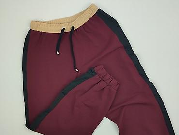 dres wk dzik: Zara, Spodnie dresowe damskie, rozmiar L — 1