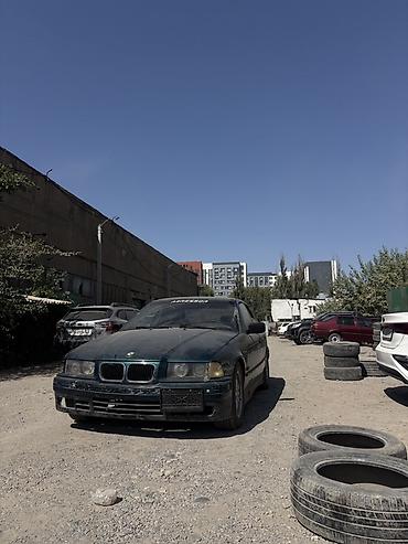 m5 e39: BMW 3 series: 1994 г., 2 л, Механика, Бензин, Седан — 2
