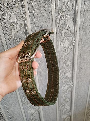 lider 55 cuce: Geniş və möhkəm it boyunluğu - Material: qalın toxunmuş neylon parça — 2