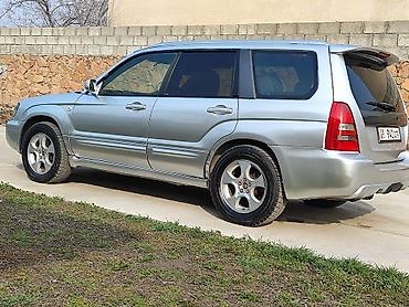 Subaru: Subaru Forester: 2003 г., 2 л, Автомат, Бензин, Универсал — 34