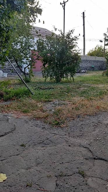 seki torpaq: 6 sot, Biznes üçün, Mülkiyyətçi, Kupça (Çıxarış) — 2