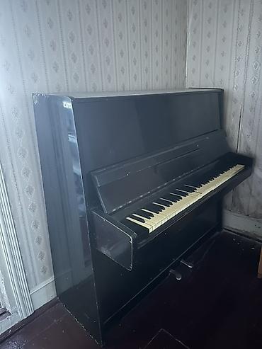 pion: Ağac korpuslu, qara rəngli akustik şaquli piano. - Tam ölçülü — 2