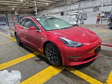 Tesla: Tesla Model 3: 2019 г., 10 л, Автомат, Бензин, Хэтчбэк