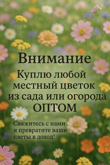 бак 120: Көчөттөр гүлдүн: Өзү алып кетүү, Акысыз жеткирүү, Акылуу жеткирүү