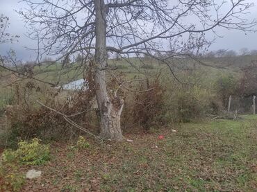 Torpaq sahələrinin satışı: 20 sot, Tikinti, Mülkiyyətçi, Kupça (Çıxarış), Texniki pasport — 13