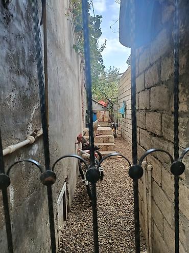 sut satisi: Bakı, Xocəsən, 2 kv. m, 3 otaqlı, İnternet, Telefon, Qaz — 7