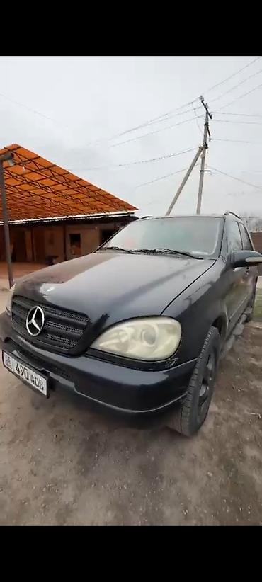 w163: Mercedes-Benz ML-Class: 2003 г., 3.2 л, Автомат, Бензин, Кроссовер — 7