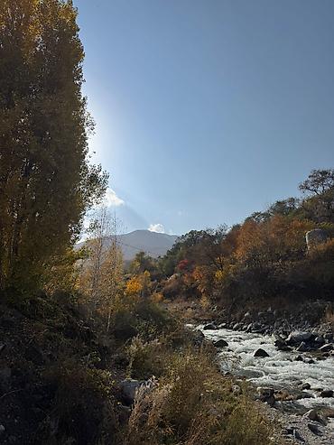 Продажа дач: • Продаётся участок в одном из самых перспективных кооперативов — СТ — 4