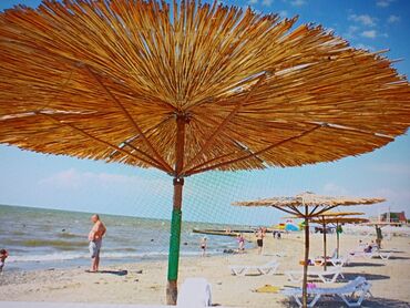 Другие специальности: Камыштан летний чайкана патолок стены становка кылып беребиз чалгыла — 11