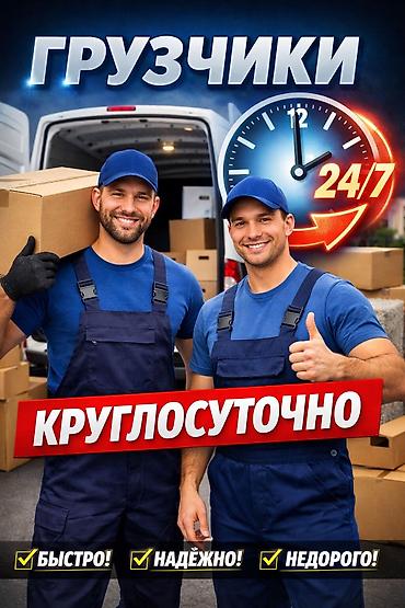Грузчик. Больше 6 лет опыта