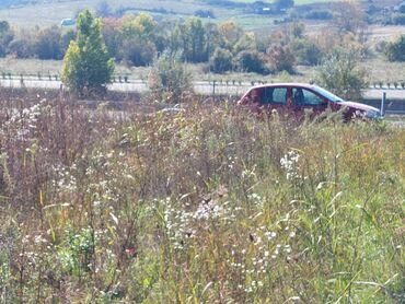 Prodaja zemljišta: 18 ares, Vlasnik na lalafo.rs — 6 Prodaja zemljišta: 18 ares, Vlasnik — 6