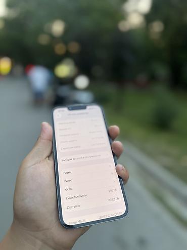 iphone cs max: IPhone 13 Pro, Б/у, 256 ГБ, Голубой, Чехол, 84 % — 2