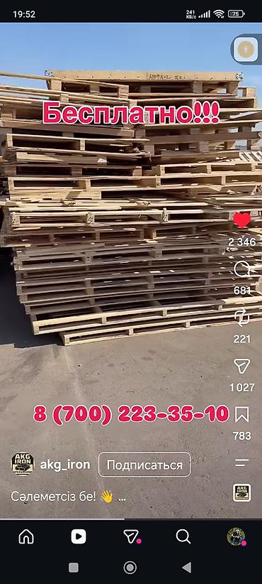 щенки сао: 🐾 ДОБРЫЙ ДЕНЬ! НУЖНА ПОМОЩЬ В ОБУСТРОЙСТВЕ КОШАЧЬЕГО ВОЛЬЕРА 🐾 — 4
